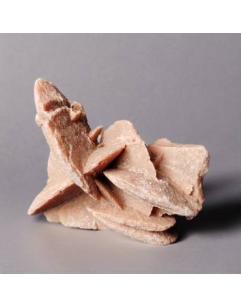 Rose des sables du désert marocain