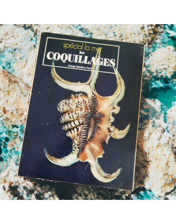 “Spécial la mer – Les coquillages” de Sergio Angeletti (1974, Éditions Grange Batelière – Paris)