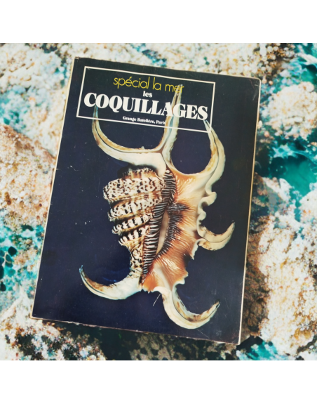 “Spécial la mer – Les coquillages” de Sergio Angeletti (1974, Éditions Grange Batelière – Paris)