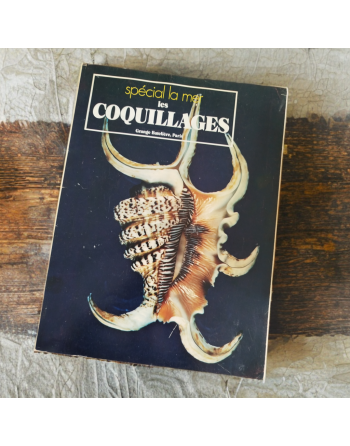 “Spécial la mer – Les coquillages” de Sergio Angeletti (1974, Éditions Grange Batelière – Paris)