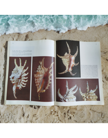 “Spécial la mer – Les coquillages” de Sergio Angeletti (1974, Éditions Grange Batelière – Paris)