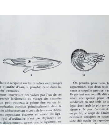 “Spécial la mer – Les coquillages” de Sergio Angeletti (1974, Éditions Grange Batelière – Paris)