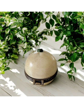 Petite boîte à pilules en porcelaine en forme de citron vert, bordure en laiton