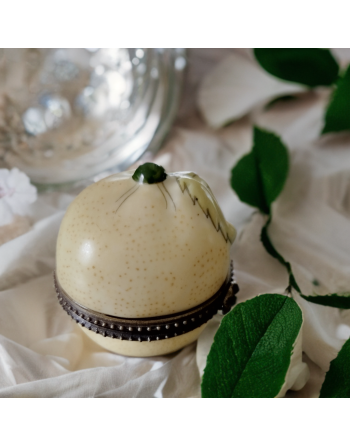 Petite boîte à pilules en porcelaine en forme de citron vert, bordure en laiton